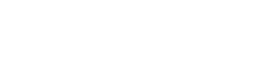 Level 5